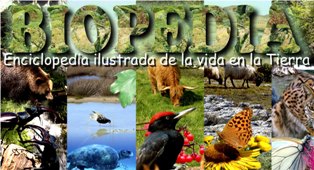 Biopedia, enciclopedia ilustrada de la vida en la Tierra biodiversidad,biomas